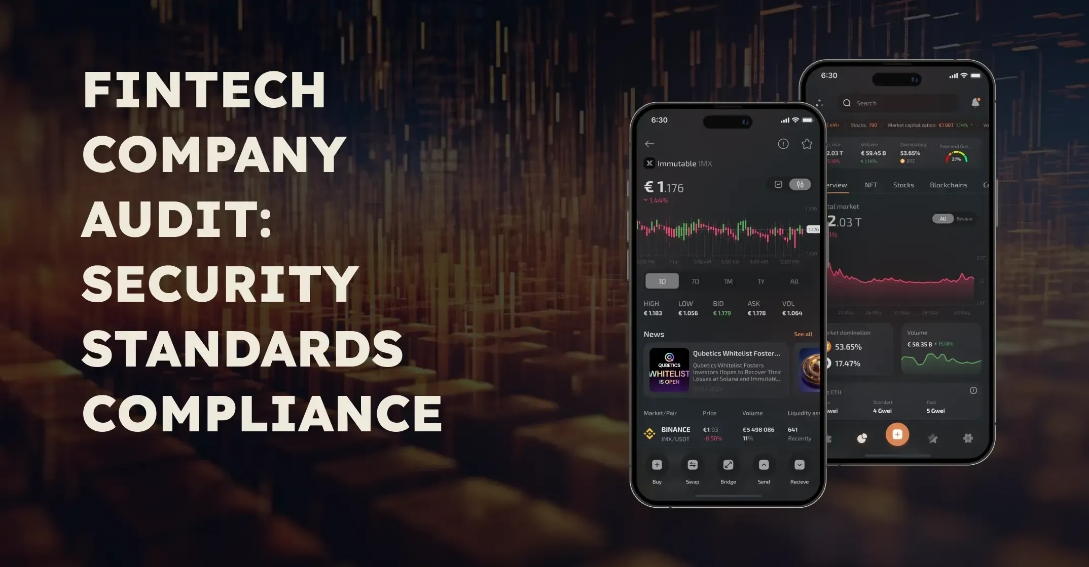 Fintech app security standards compliance audit
