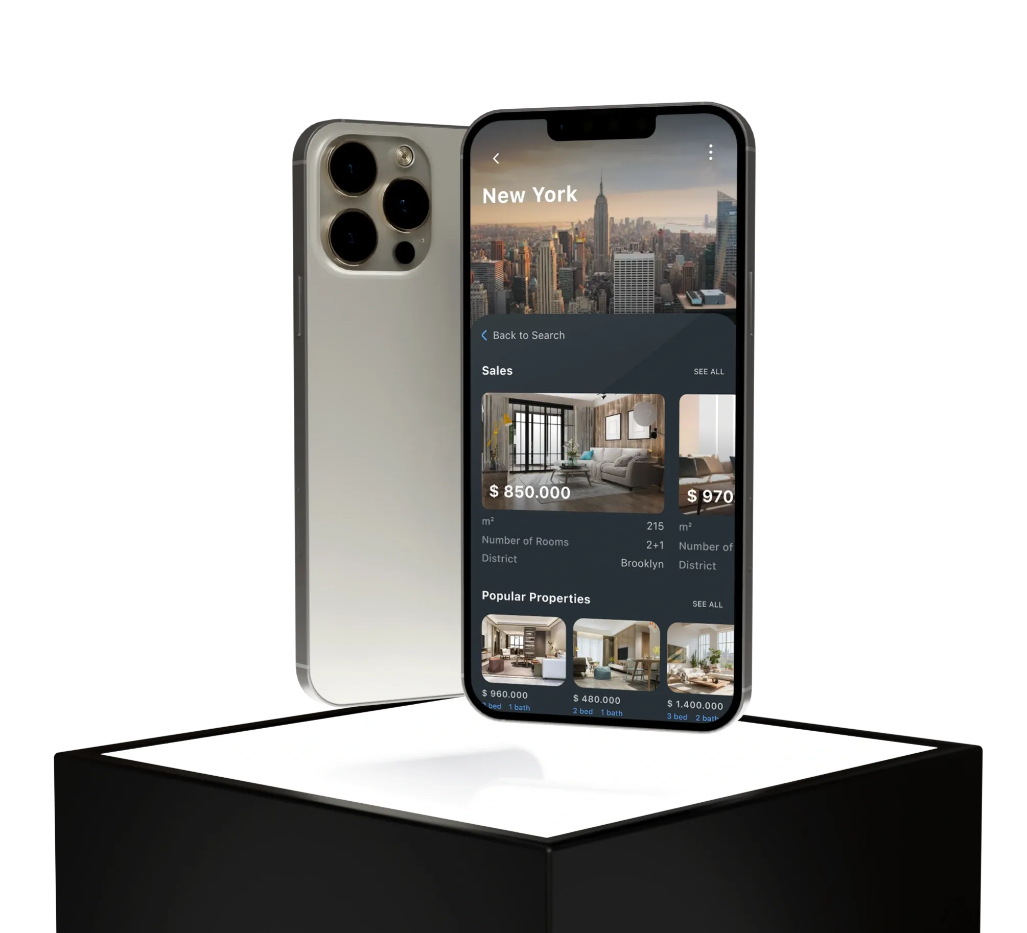 Real-estate search app design and development